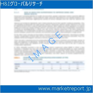 市場と産業調査レポートのイメージ
